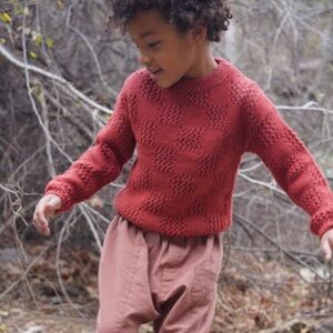 SOLOSIX Mini Sam Crew Sweater Rust 3-4 Years